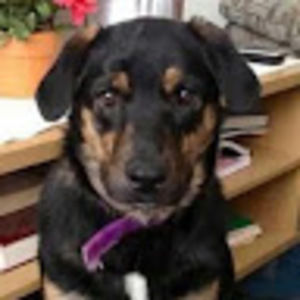 Meet your Posher, Derek